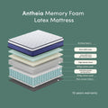 Antheia 32cm Euro Top Memory Foam Mattress Australia Beyond Living
