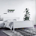 Tertia Double Solid Pine Wood Bed Australia White Timber Frame Beyond Living