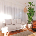 Colton Fabric Sofa – Modern Living Room Sofa Beyond Living