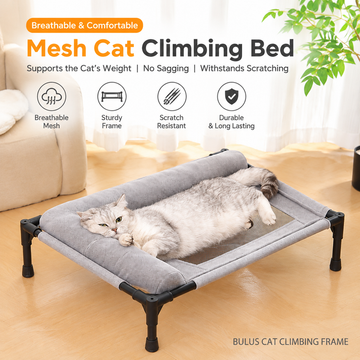 Elevated Pet Cot with Bolster Cushion for Cats and Small Dogs, Breathable Mesh Bed for Indoor Living Room and Bedroom Comfort (Grey)