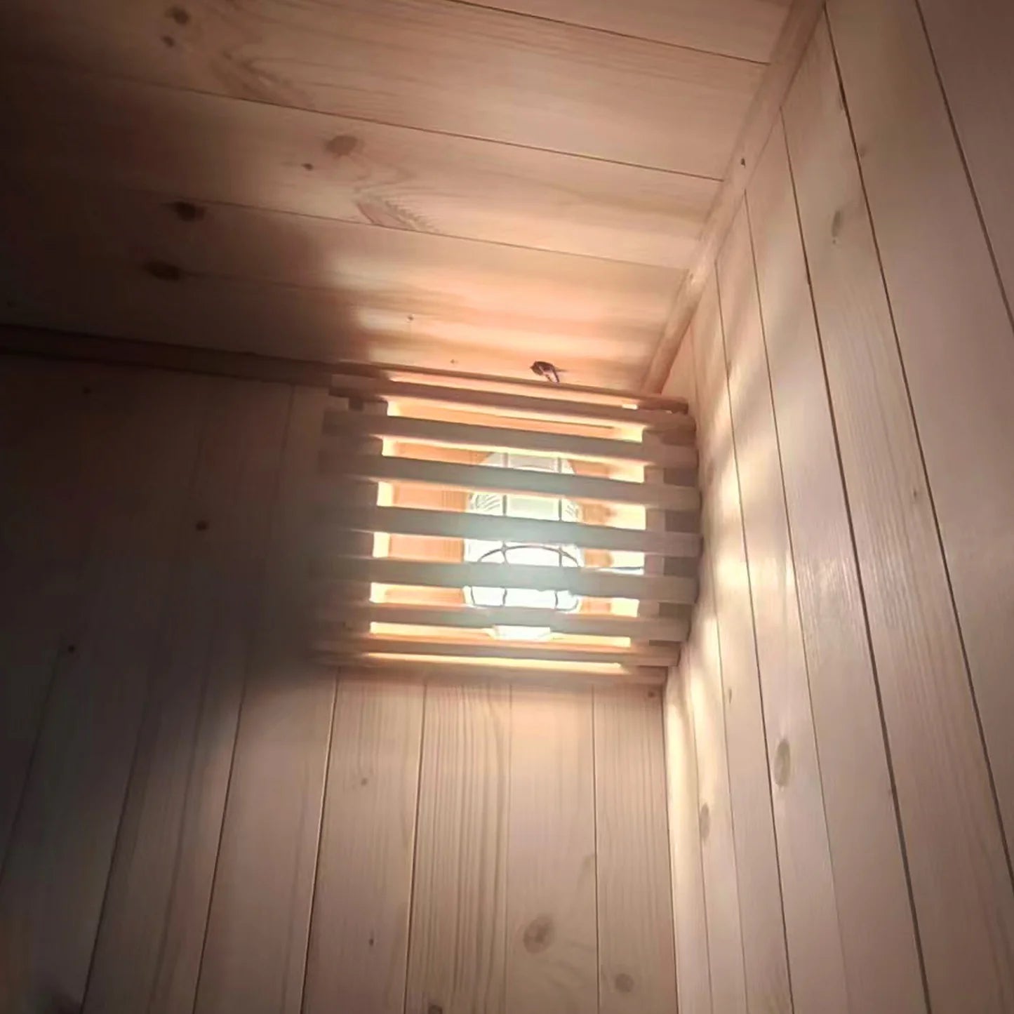 Kiima 6 Person Hybrid Infrared Outdoor Sauna Australia Beyond Living